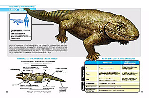 Prehistoric Pioneers. Episode 2. Silurian and Devonian Waters