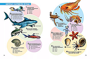 Prehistoric Pioneers. Episode 2. Silurian and Devonian Waters