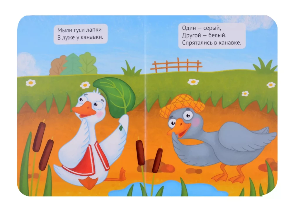 Two Merry Geese