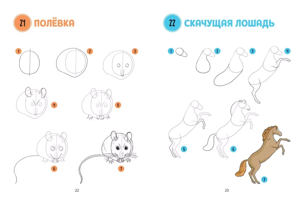 The Big Book of Animals. 300 Drawings Step by Step