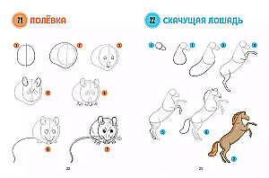 The Big Book of Animals. 300 Drawings Step by Step
