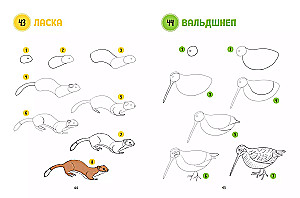 The Big Book of Animals. 300 Drawings Step by Step