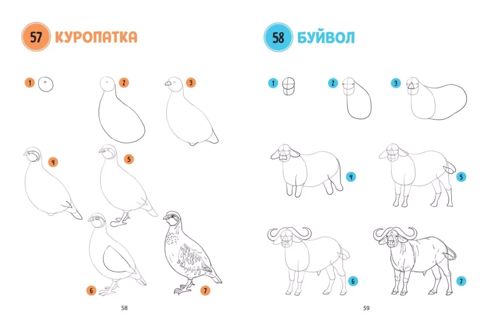 The Big Book of Animals. 300 Drawings Step by Step