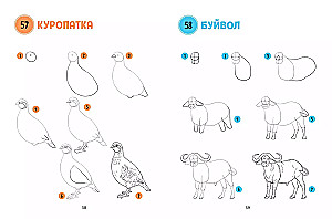 The Big Book of Animals. 300 Drawings Step by Step