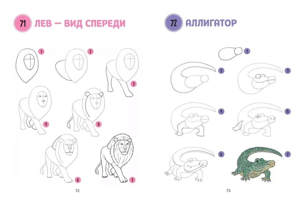 The Big Book of Animals. 300 Drawings Step by Step