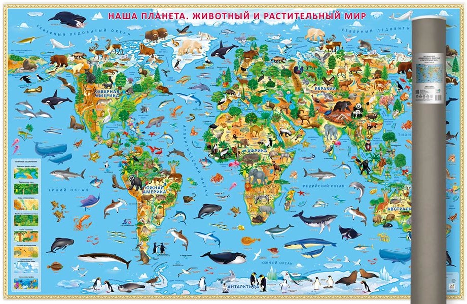 Mapa świata dla dzieci. Nasza planeta, świat zwierząt i roślin