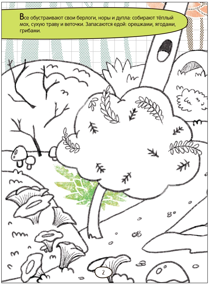 Draw it Yourself. Forest Tale