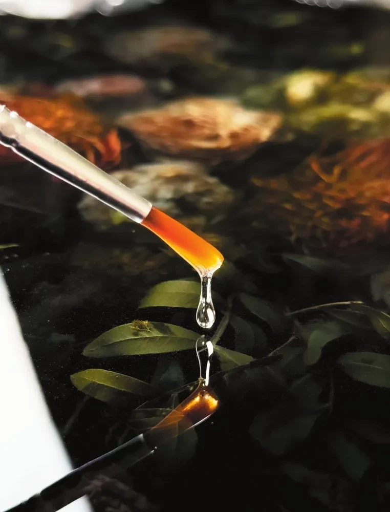 Artistic epoxy resin. Resin Art. The most complete and clear step-by-step guide for beginners and enthusiasts