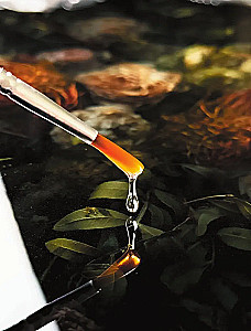Artistic epoxy resin. Resin Art. The most complete and clear step-by-step guide for beginners and enthusiasts