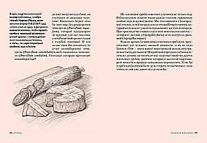 Pilze. Bewohner der verborgenen Welt