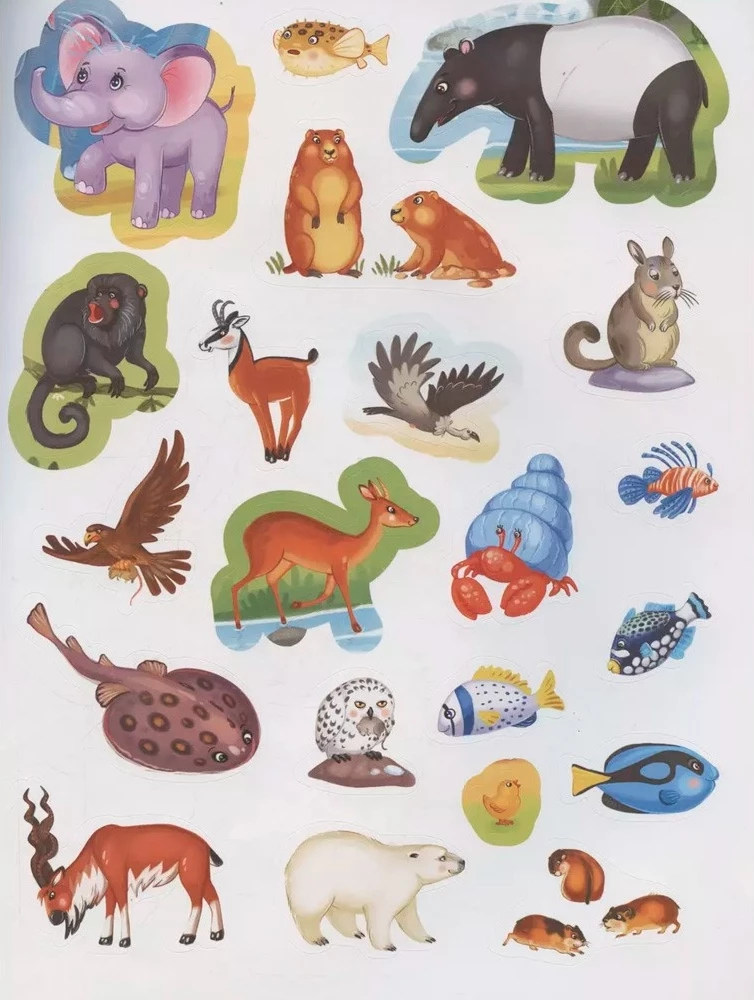 Play and Stick. Animals