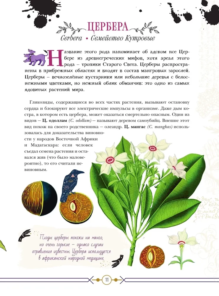 Dangerous Plants. From Poisonous to Allergenic