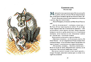 Translator from Dog Language