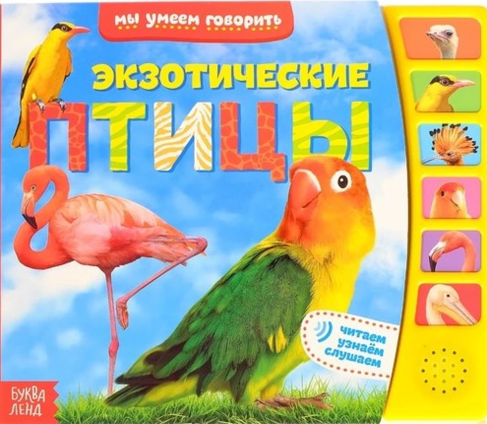 Book with a Music Chip - Exotic Birds