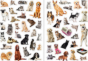 Cats and Dogs