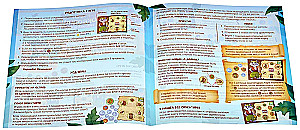 Board Game - Treasure Map