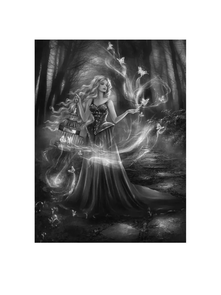 Princess of the Foggy Forest