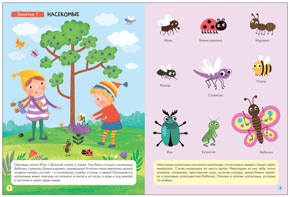 School of Seven Dwarfs. Basic Course. The Surrounding World. Set 3+