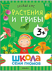 School of Seven Dwarfs. Basic Course. The Surrounding World. Set 3+