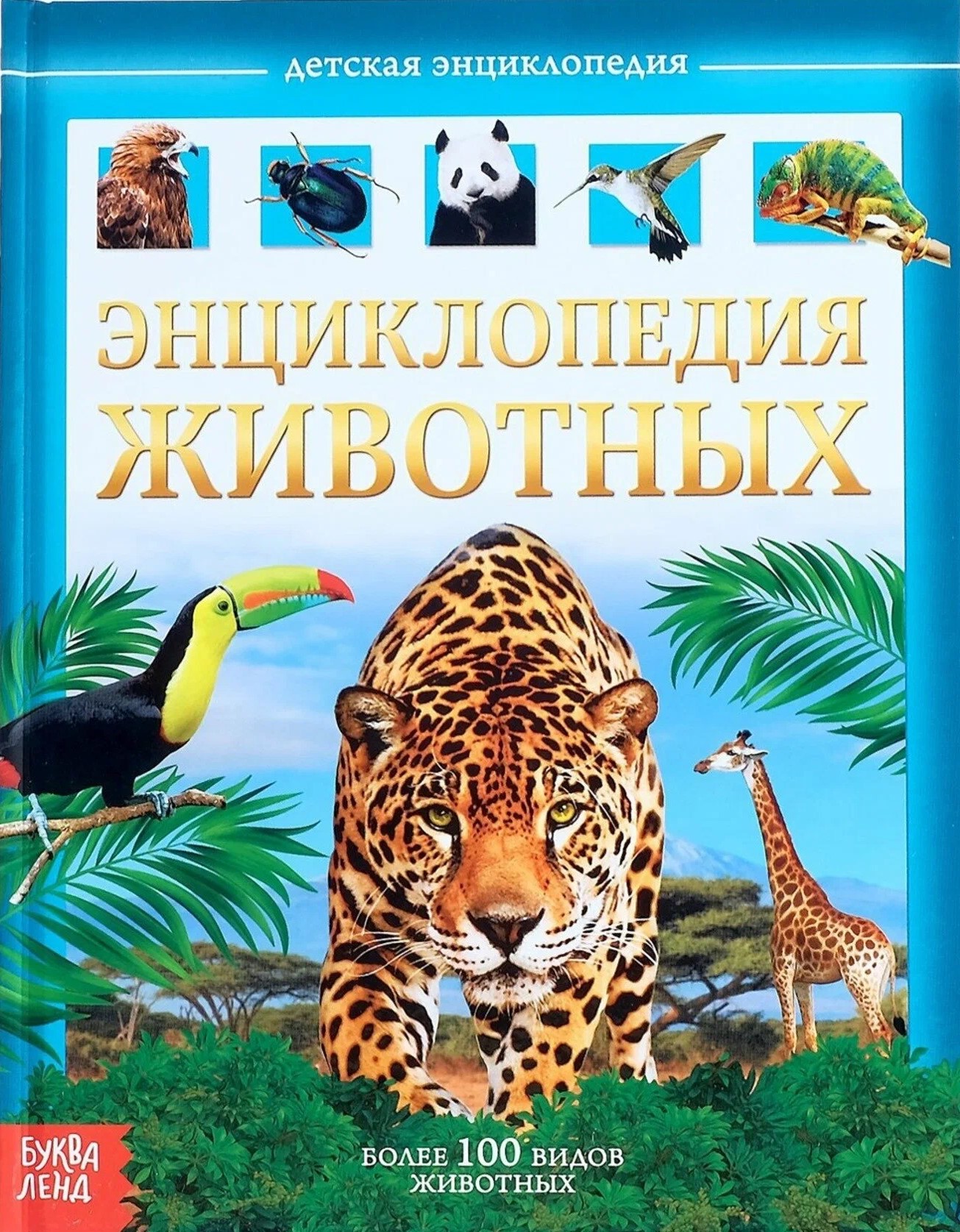 Zwierzęta