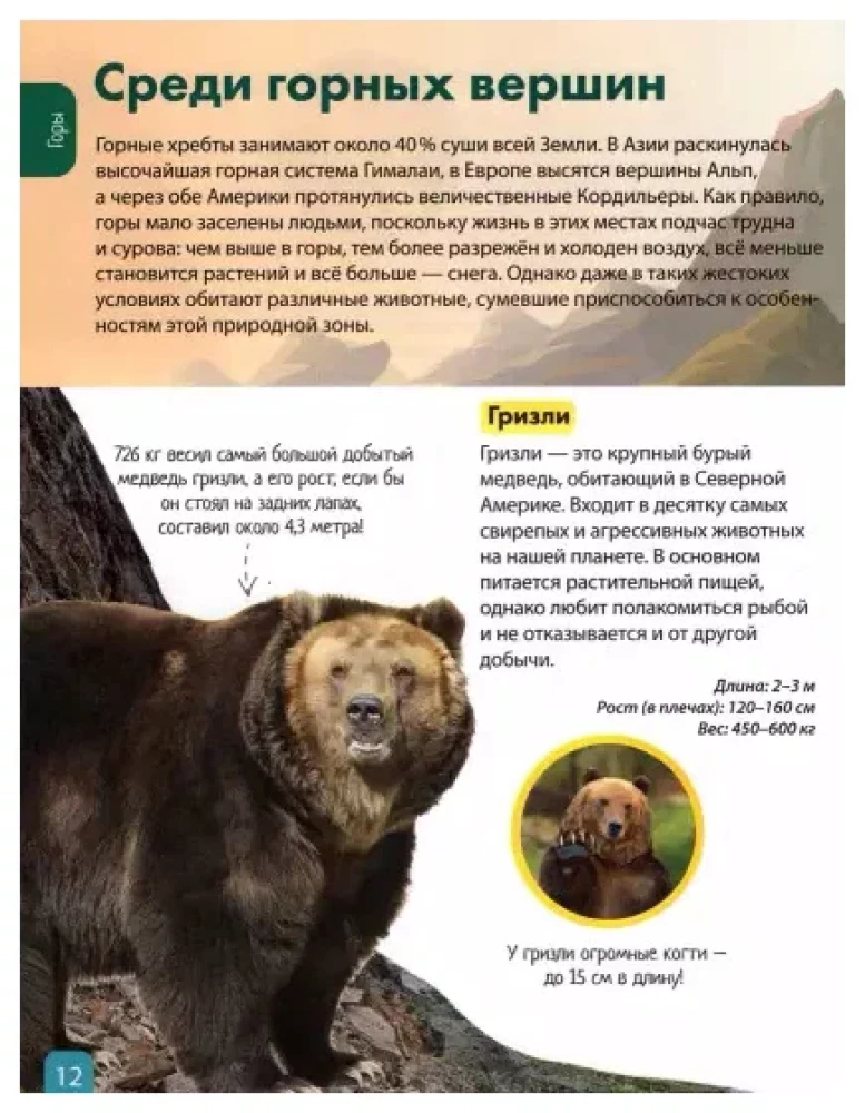 Animals