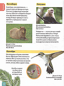 Animals