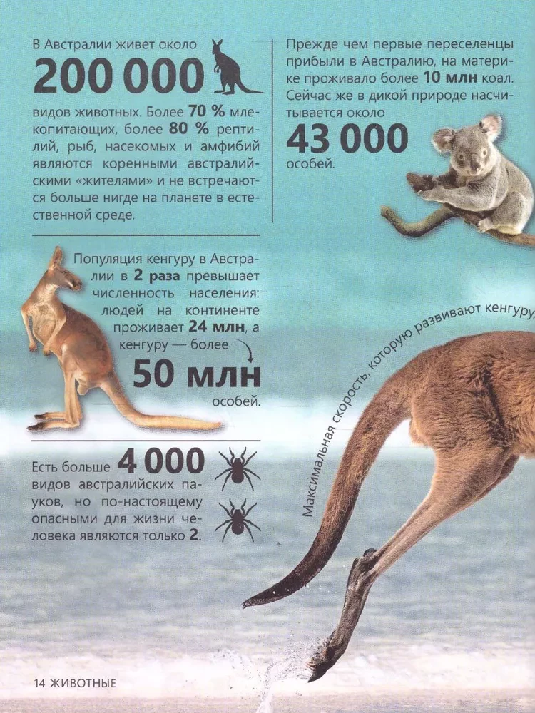Encyclopedia in hardcover - Super facts in numbers