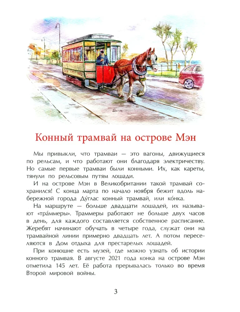 Incredible Trams