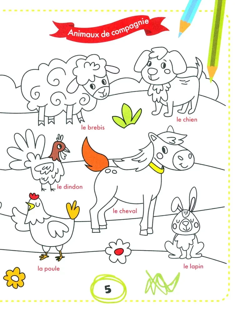 Color and Learn Words. French for Kids