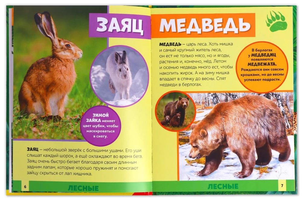 Photo Encyclopedia for Children - In the Animal World