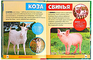 Photo Encyclopedia for Children - In the Animal World