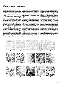 Карандаш. Техника исполнения