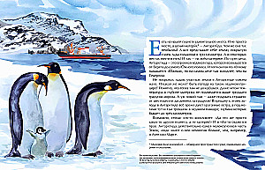 Antarctica