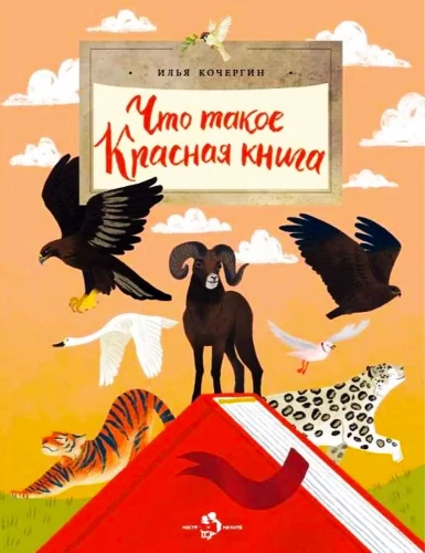 What is the Red Book