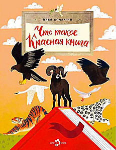 What is the Red Book