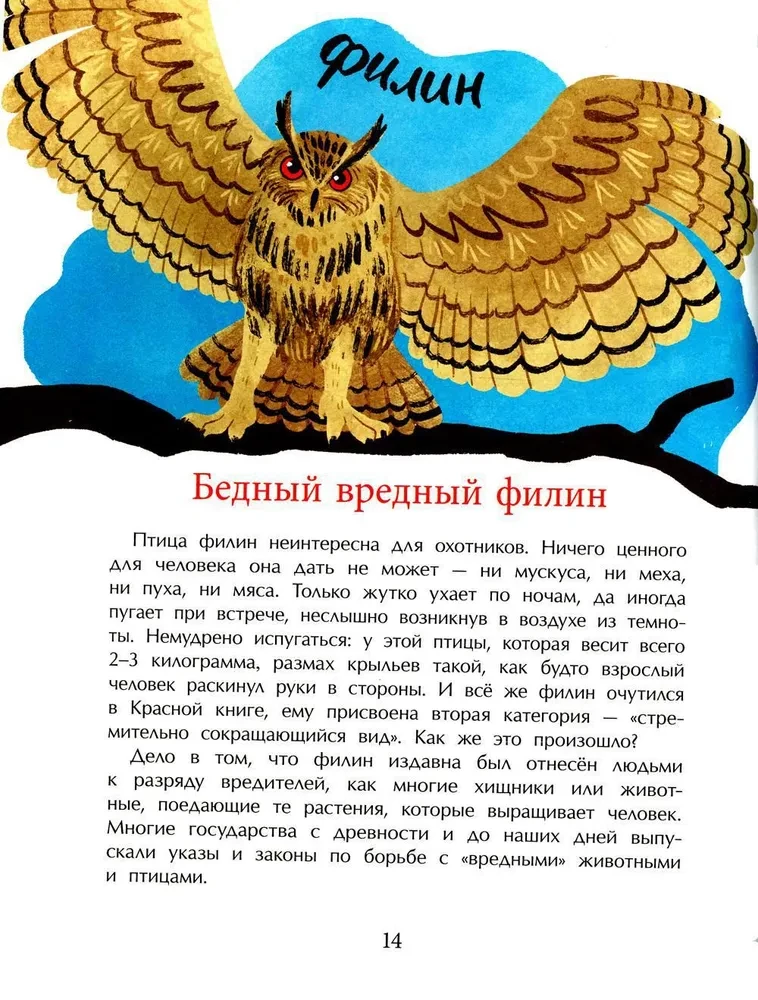 What is the Red Book