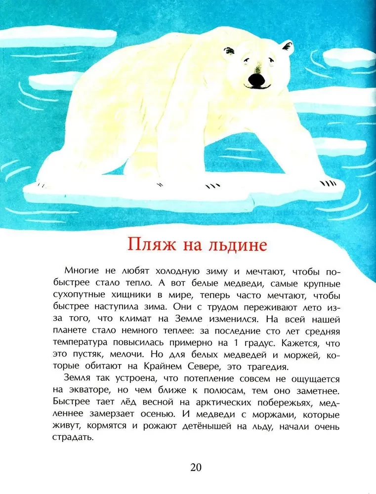 What is the Red Book