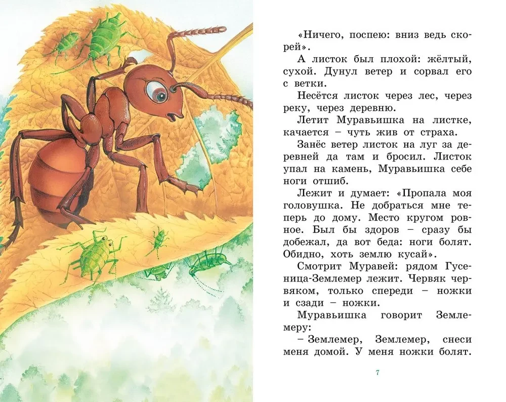How the Ant hurried home