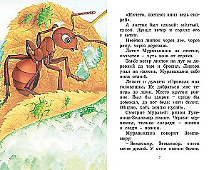 How the Ant hurried home