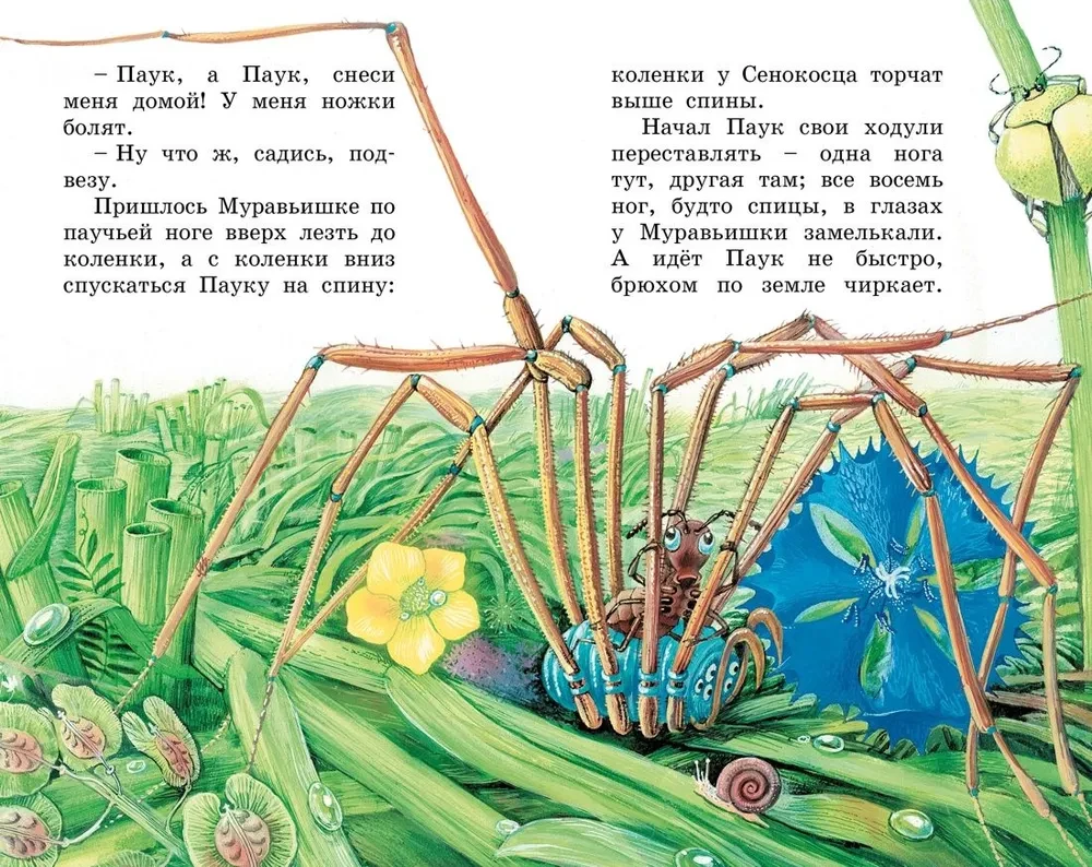 How the Ant hurried home
