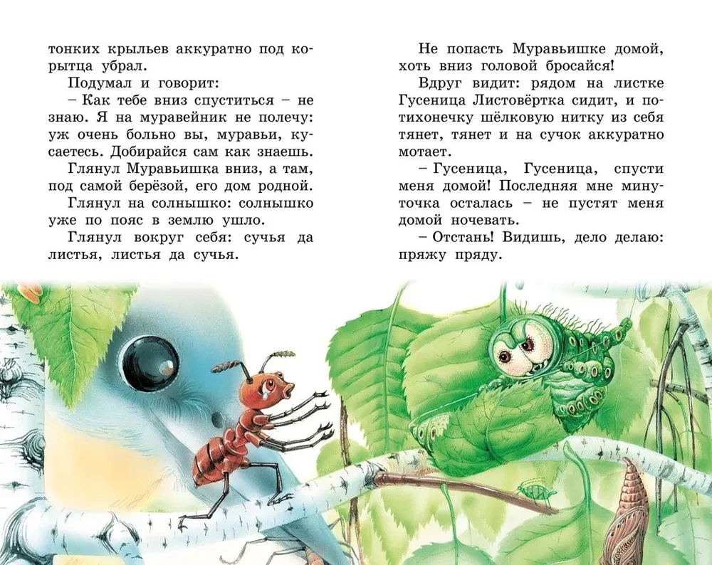 How the Ant hurried home