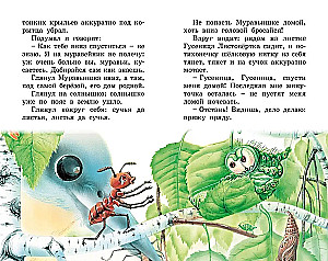 How the Ant hurried home