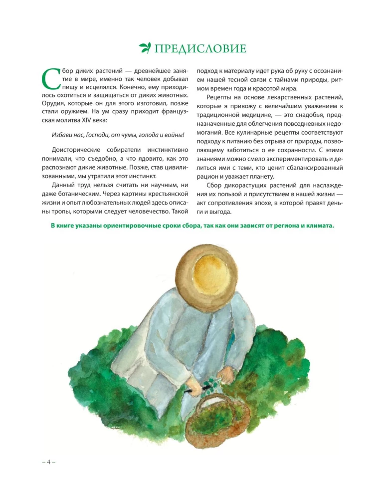 Herbalist's Grimoire. An Illustrated Guide to Gathering, Preparations, and Beneficial Properties of Wild Plants