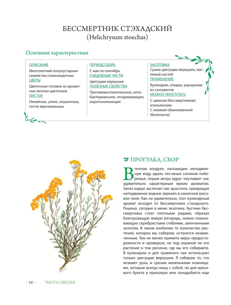 Herbalist's Grimoire. An Illustrated Guide to Gathering, Preparations, and Beneficial Properties of Wild Plants