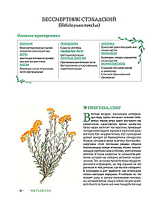 Herbalist's Grimoire. An Illustrated Guide to Gathering, Preparations, and Beneficial Properties of Wild Plants