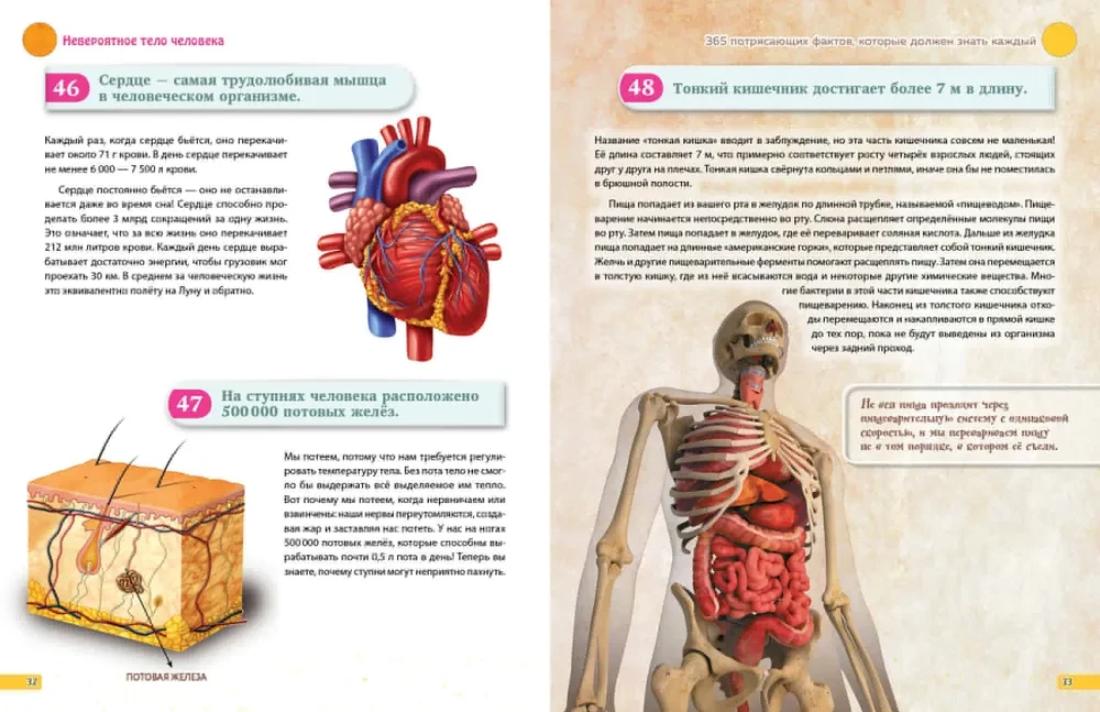 I Know Everything! 365 Amazing Facts Everyone Should Know