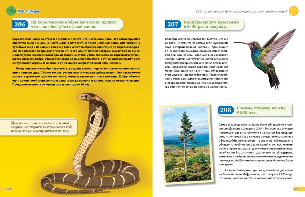 I Know Everything! 365 Amazing Facts Everyone Should Know