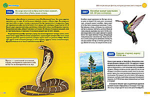 I Know Everything! 365 Amazing Facts Everyone Should Know