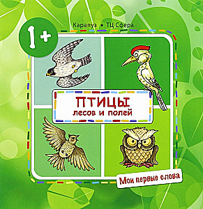 My First Words. Birds of the Forests and Fields
