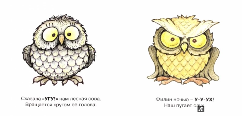 My First Words. Birds of the Forests and Fields